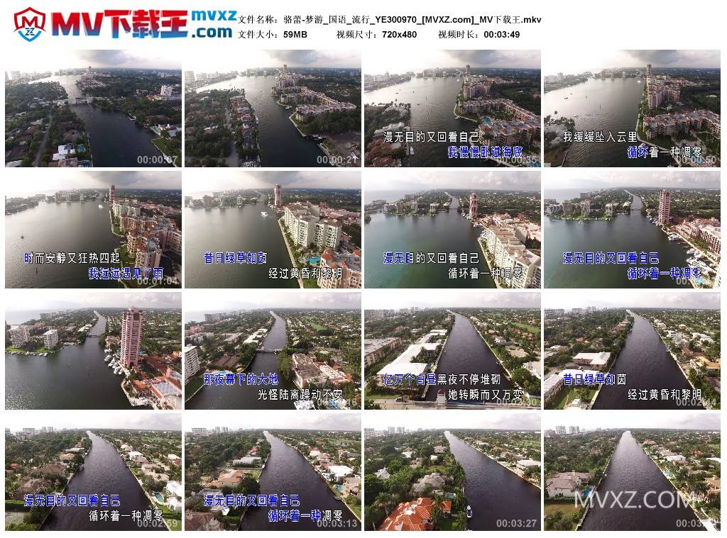 骆蕾-梦游_国语_流行_YE300970